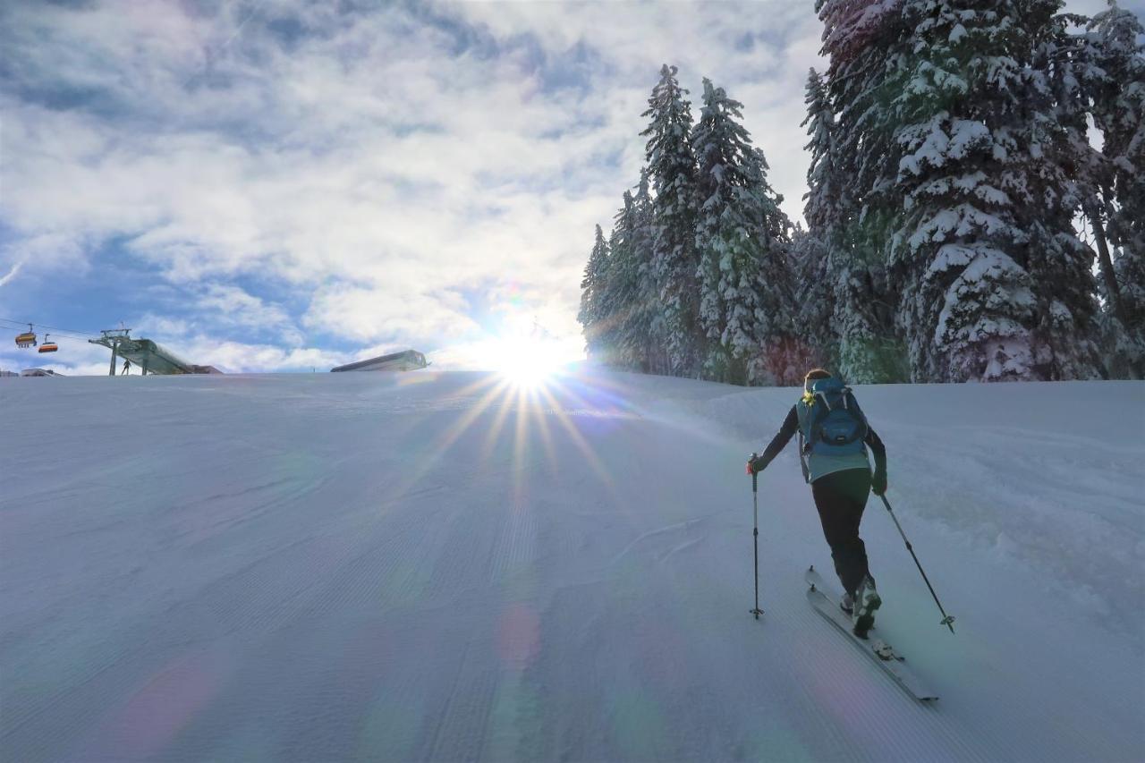 Apartmán Mountain-Apart Simonhof Maria Alm am Steinernen Meer Exteriér fotografie